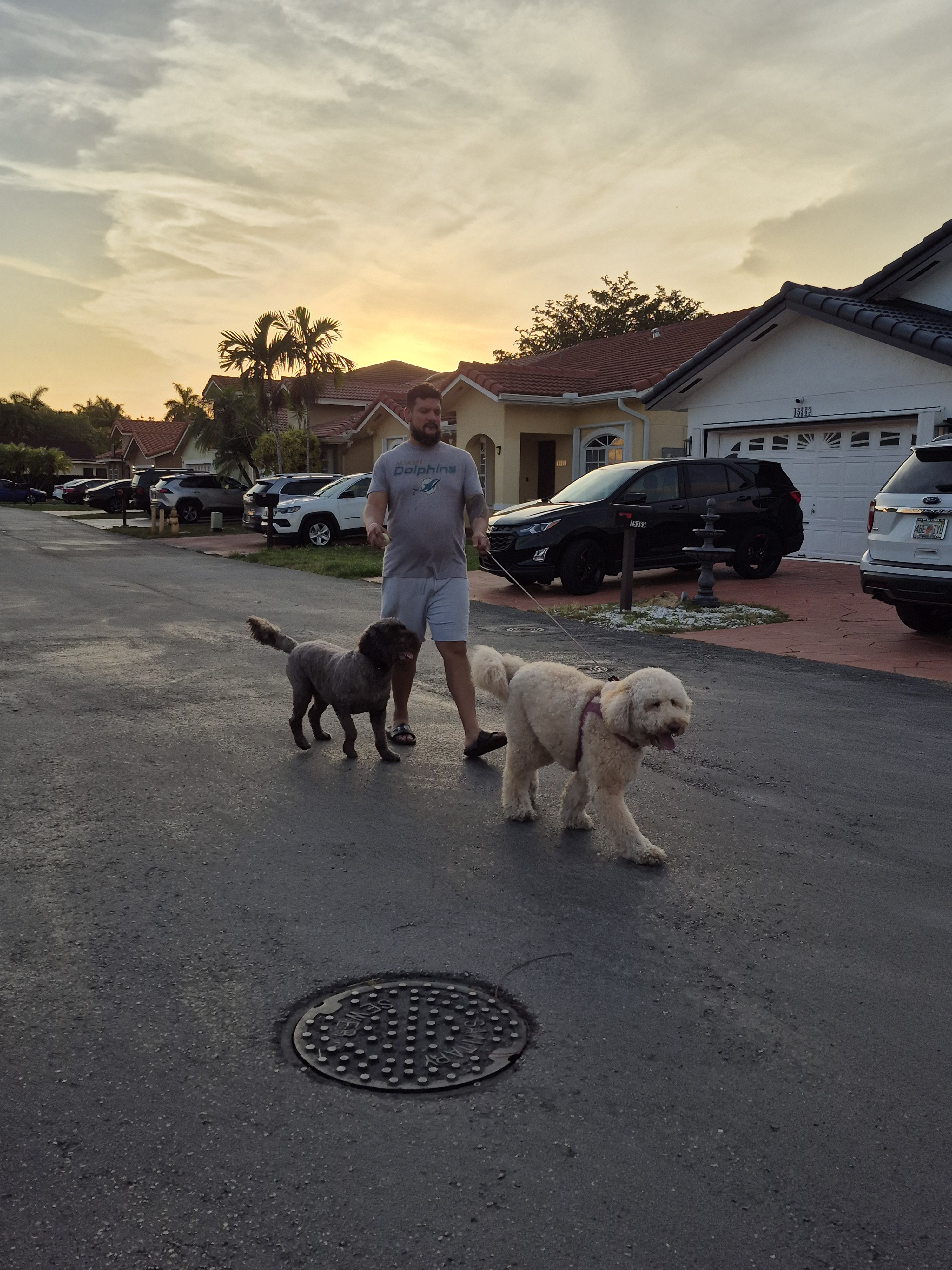 Francisco walking two dogs at sunset